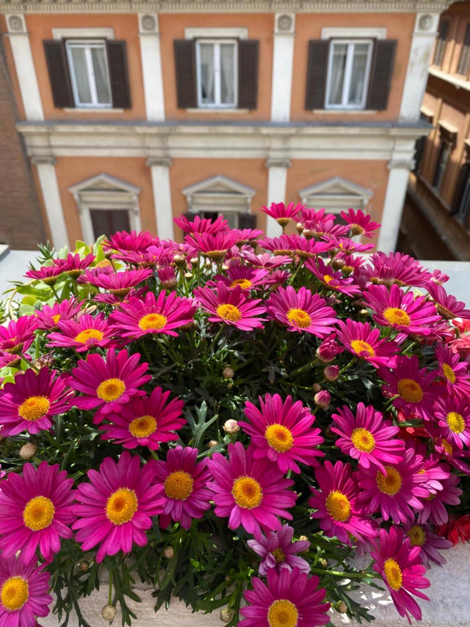 Terrazza Marco Antonio Luxury Suite Roma Exterior foto